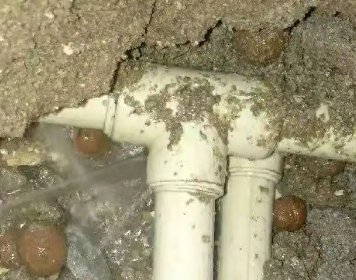 汇川测漏水多少钱