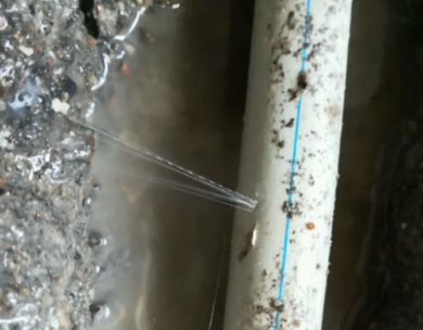 汇川测漏水哪家好