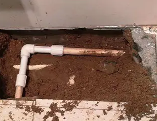 汇川测漏水哪家好