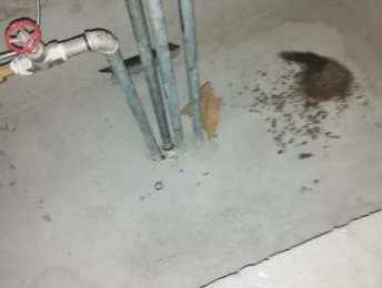 汇川卫生间测漏水价格明细