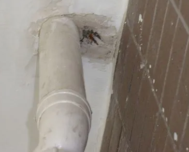 汇川漏水检测哪家好